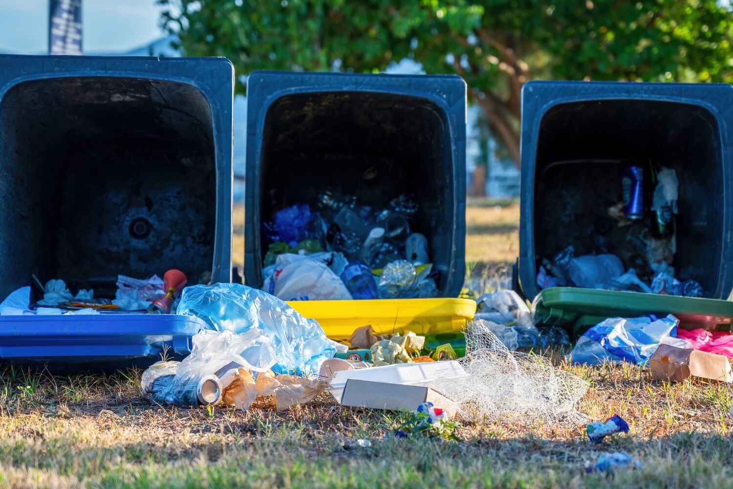 Best Yard Waste Removal  in Progress Village, FL